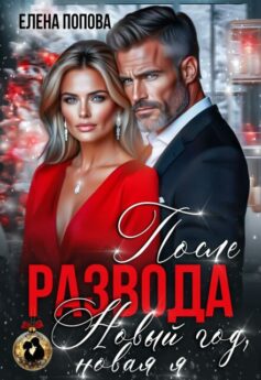 После развода. Новый год, новая я